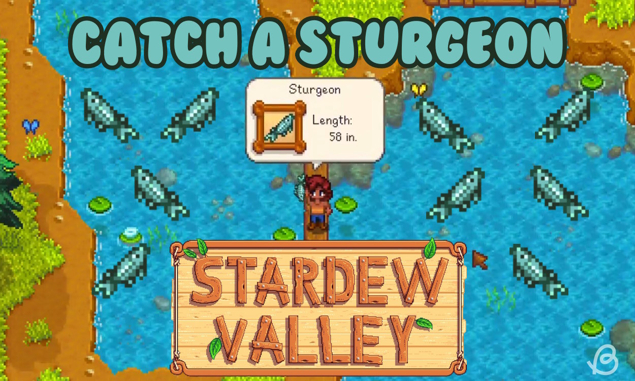 Stardew Valley How to Catch a Sturgeon