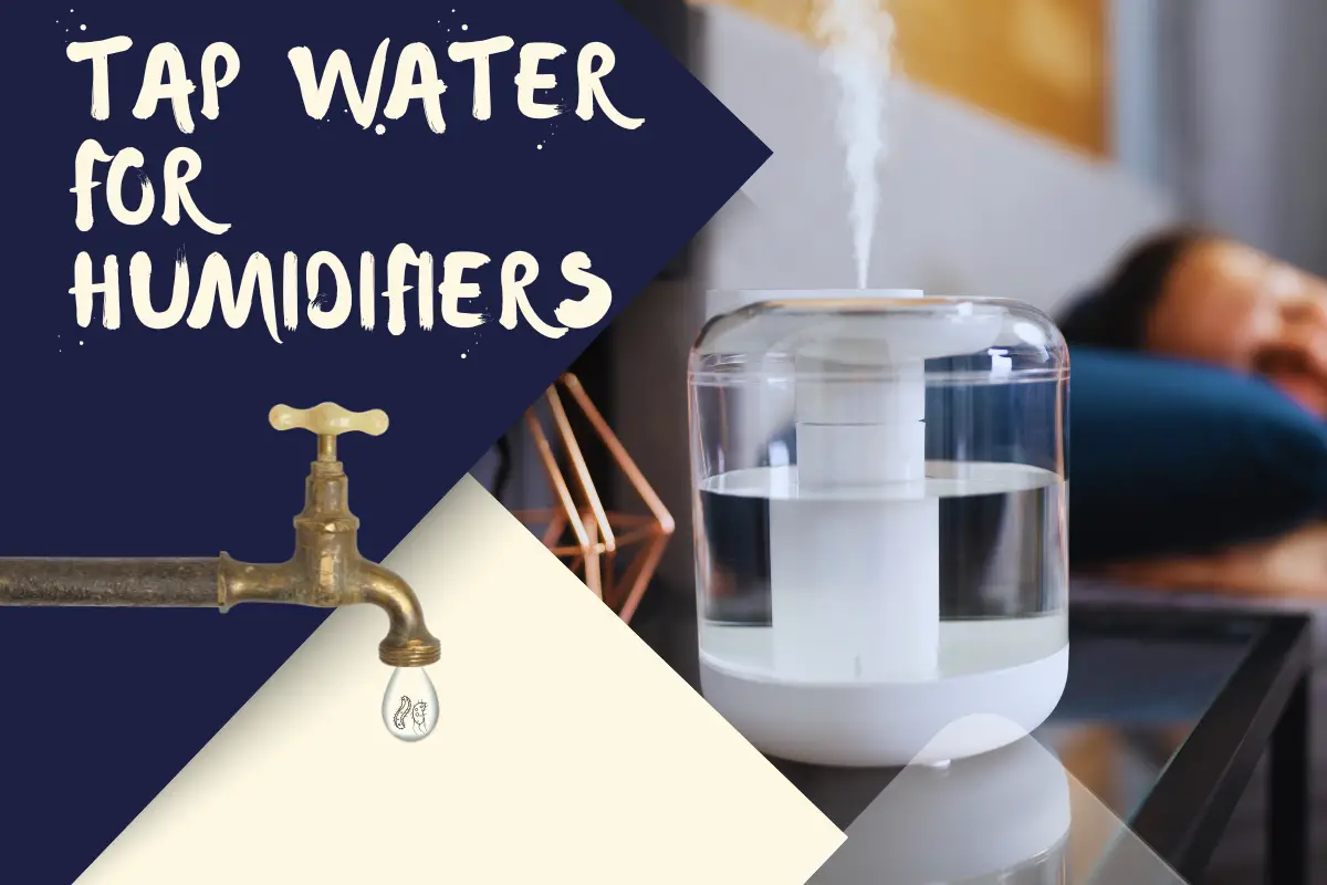 Is It Ok to Use Tap Water for Humidifier