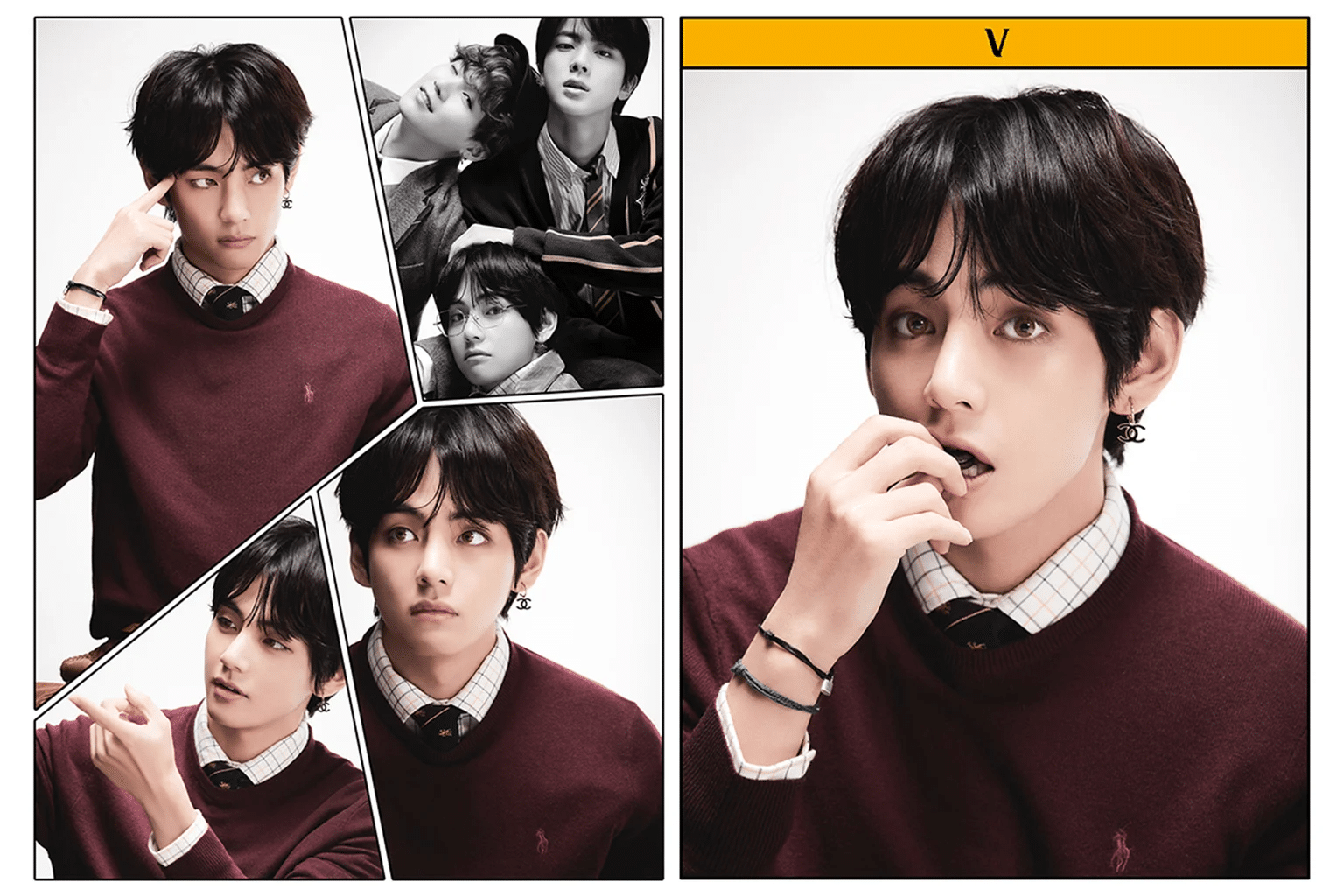 A Guide to Bts V