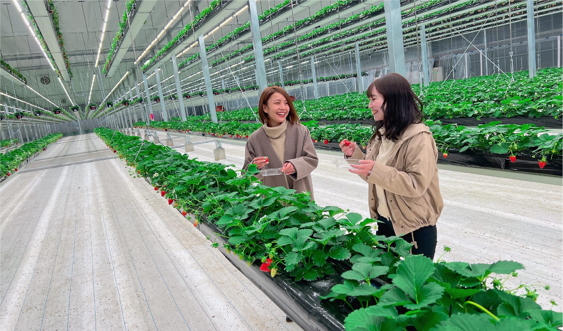 門前仲町モンズ カフェ徹底取材！限定タルトと混雑回避の穴場時間