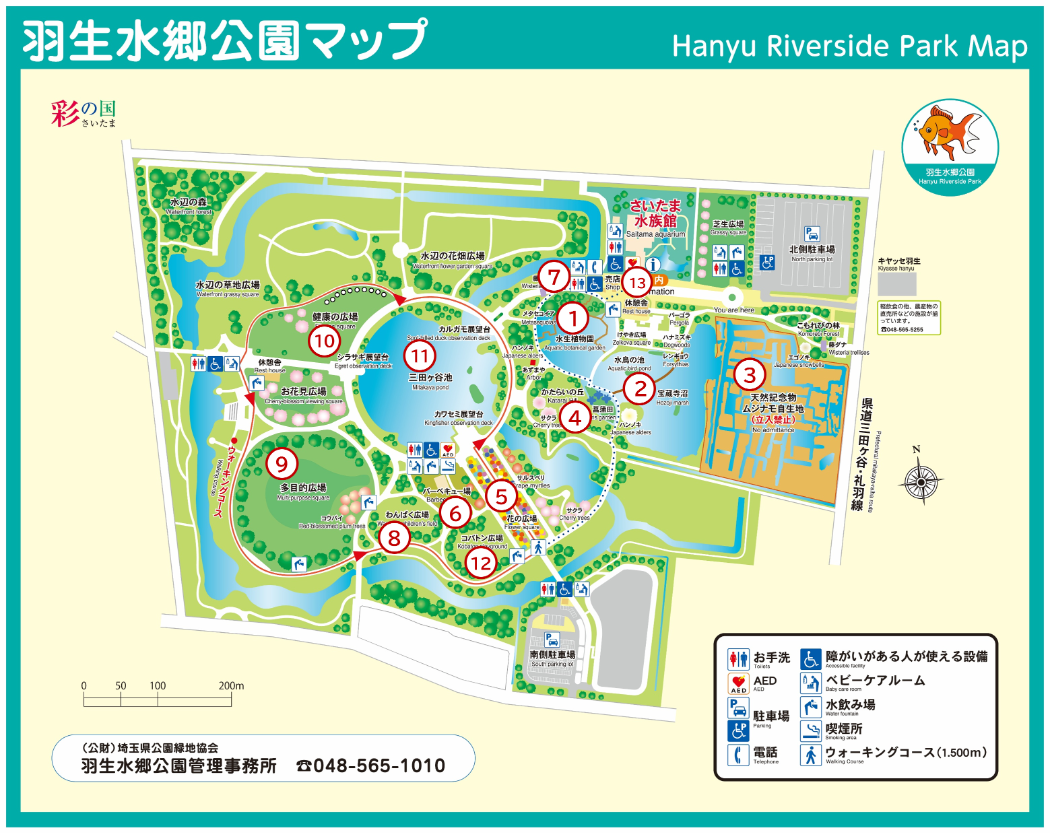 羽生水郷公園はなぜ家族連れを魅了するのか？水族館と穴場を徹底検証