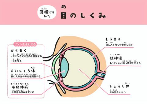【動画まとめ】 目 が 据 わる と は 気になる噂と真相 #662