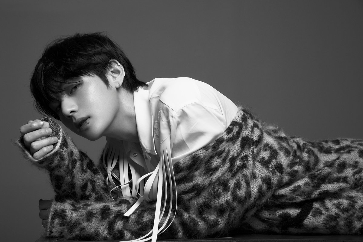 Bts Tear Concept Photos V