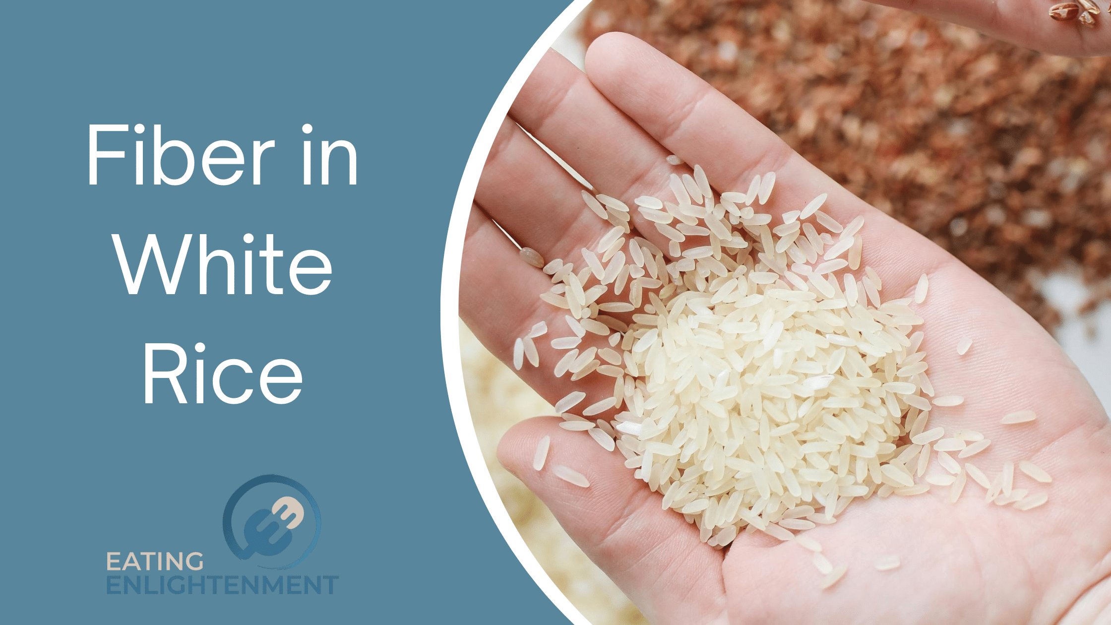 Is White Rice a Good Source of Fiber