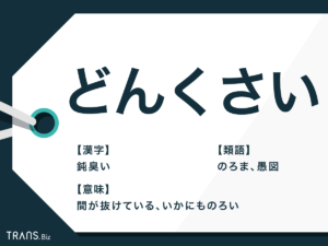 【速報】 どん くさい と は 公式インスタ・X最新情報 #629