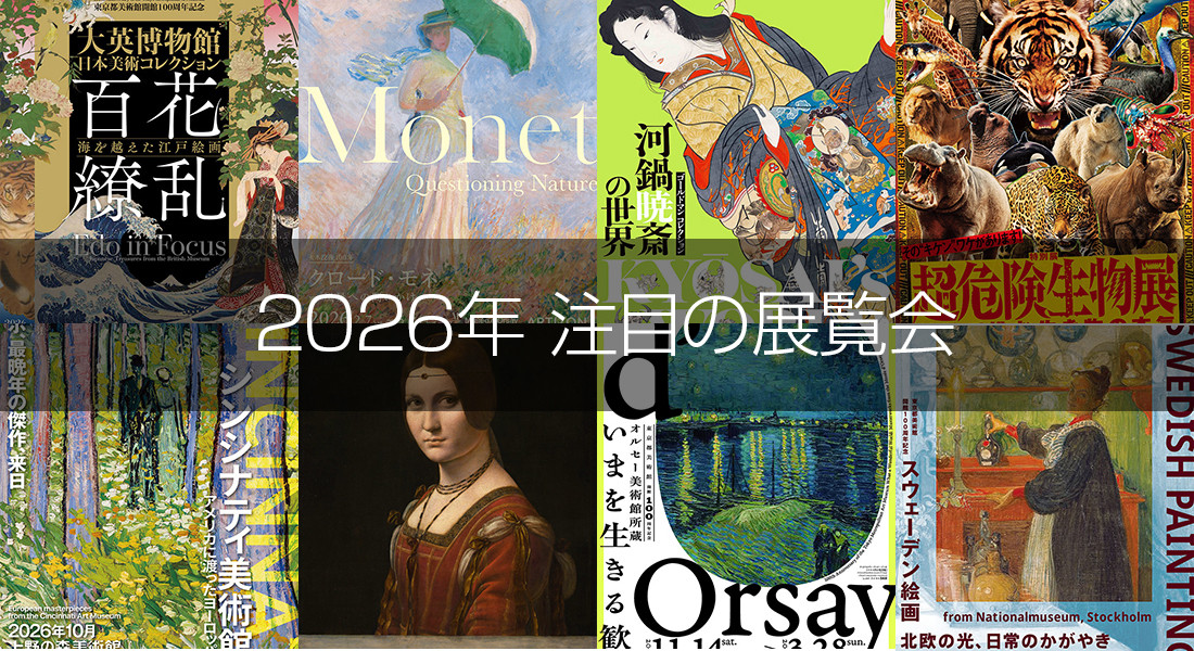 「ハーフ顔」崇拝の終焉？2026年、日本の美意識が迎えた劇的なパラダイムシフト
