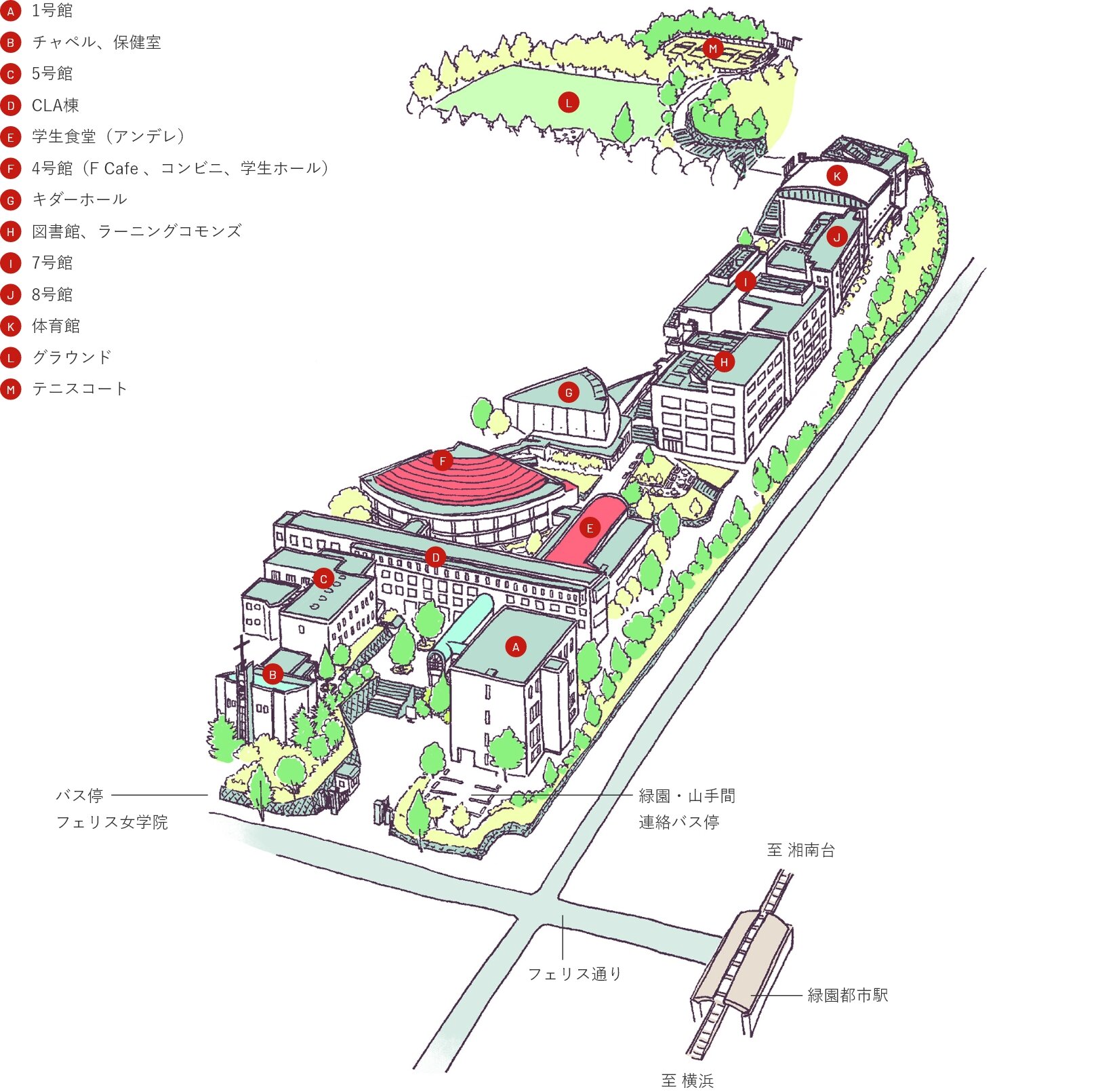 フェリス女学院大緑園キャンパスの現在と真相！統合や学部の評判を追う