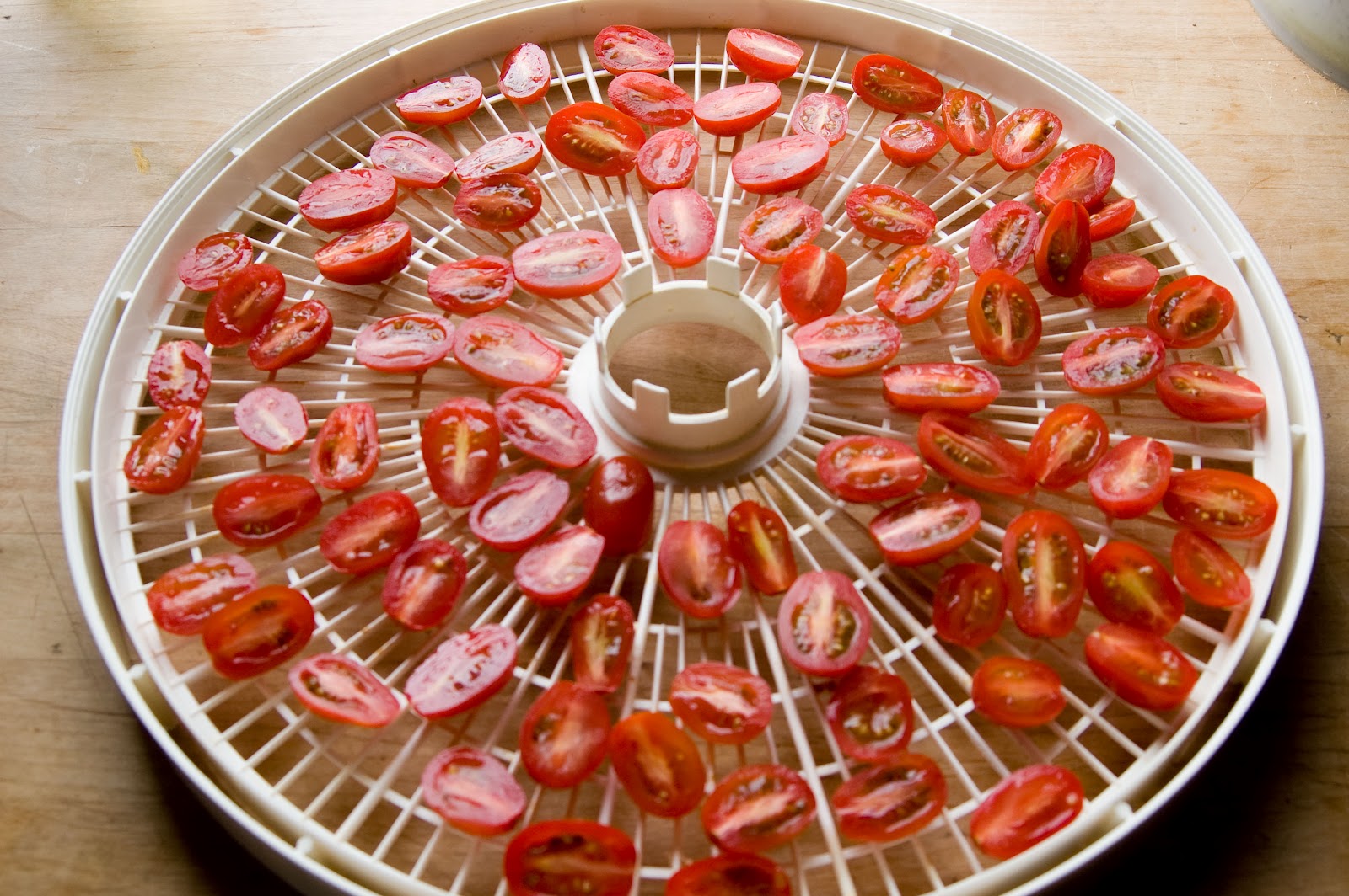 Dehydrating Cherry Tomatoes in Dehydrator