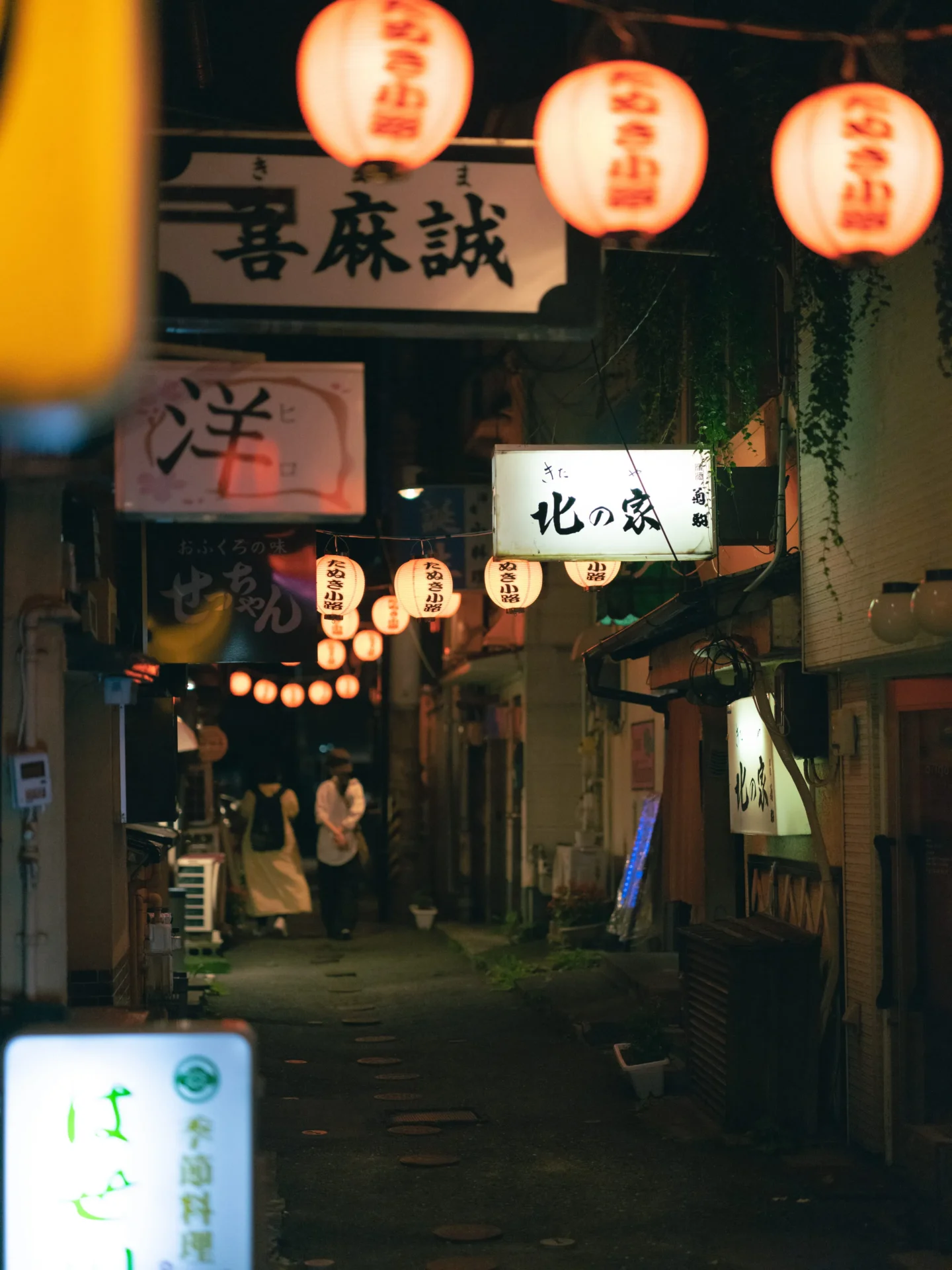 2026年最新夜の街歩き：八戸の居酒屋文化が今、全国の酒飲みを魅了する理由と究極のはしご酒ルポ
