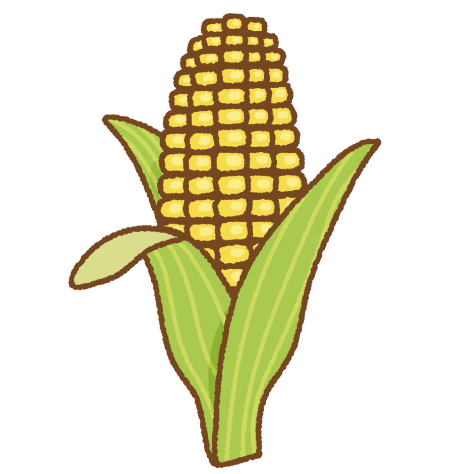 初心者も3分で描ける！とうもろこしの簡単イラスト描き方とコツ