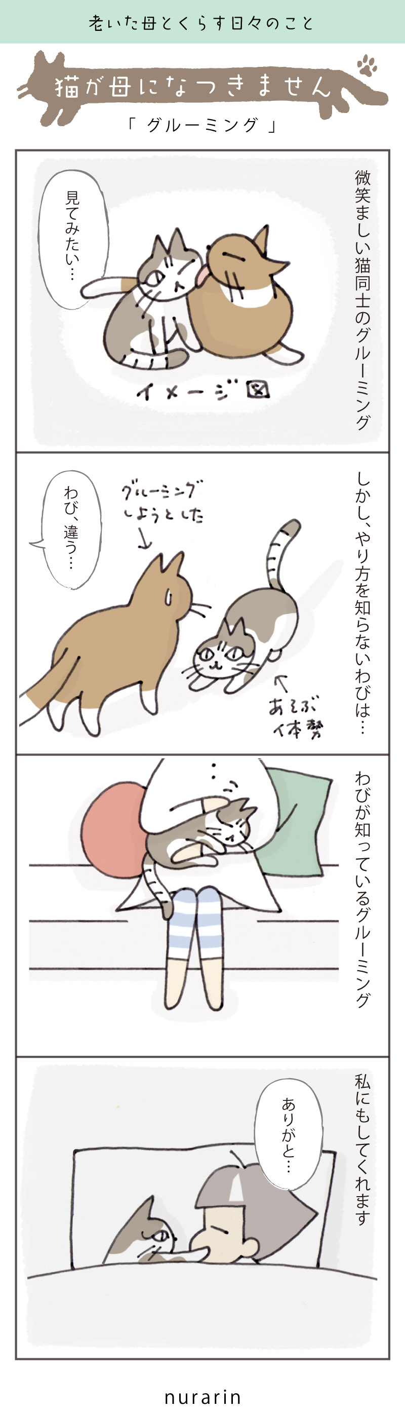 猫が母になつかないのはなぜ？ご飯をあげるのに避けられる原因と解決策