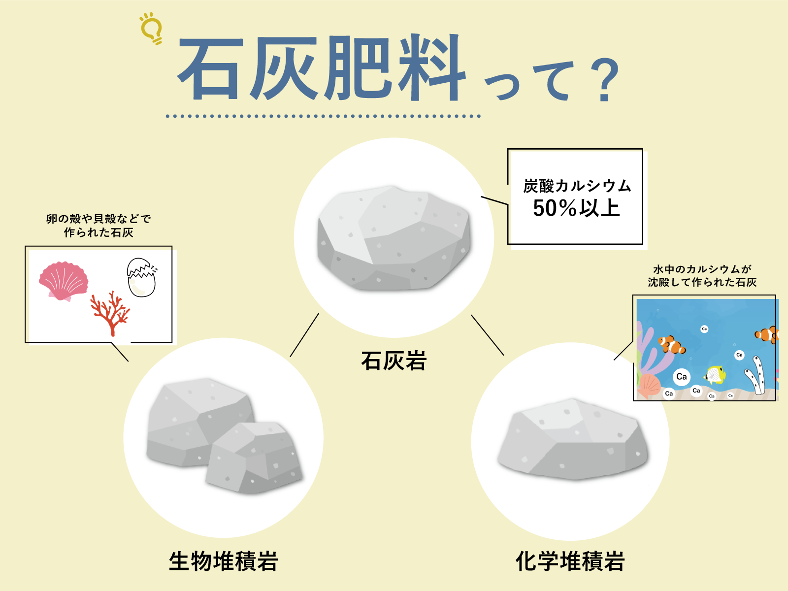消石灰と生石灰の違いとは？発熱危険性や用途・失明リスクを徹底解説