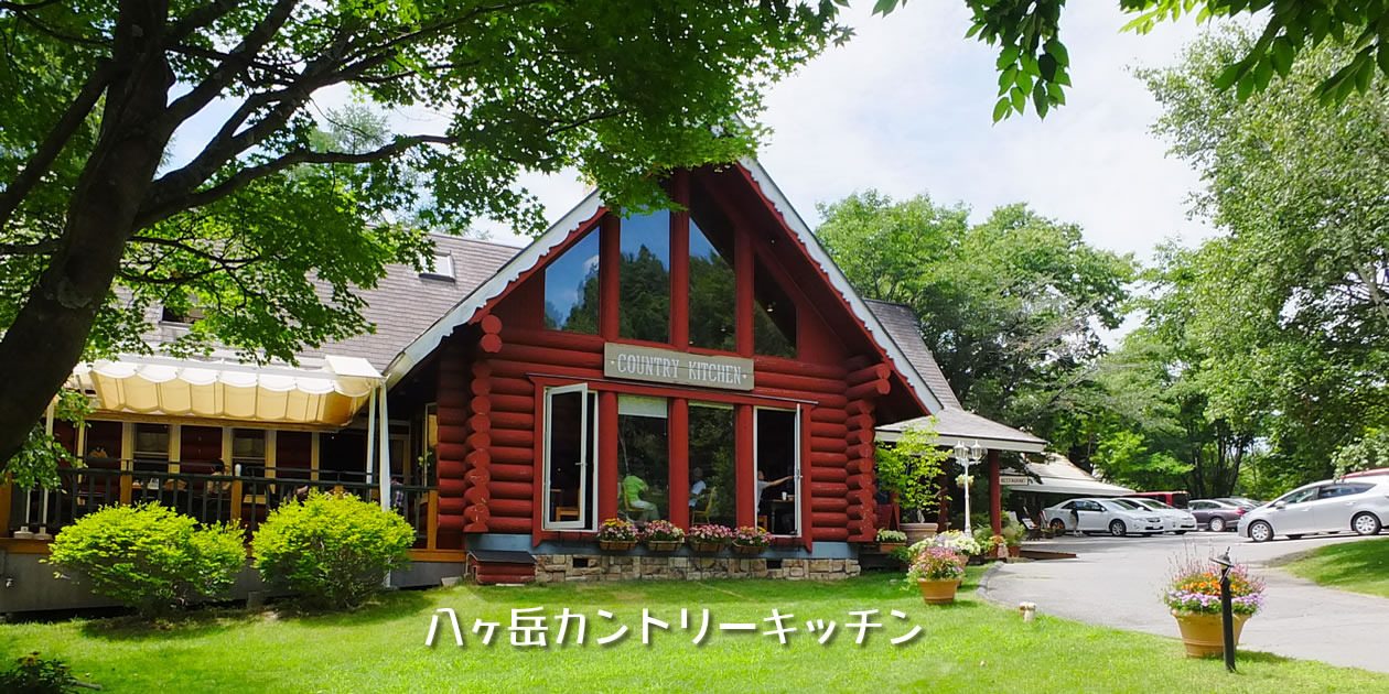 【2026年最新】岩手のダンスパーティー情報！盛岡・花巻の開催日程と評判