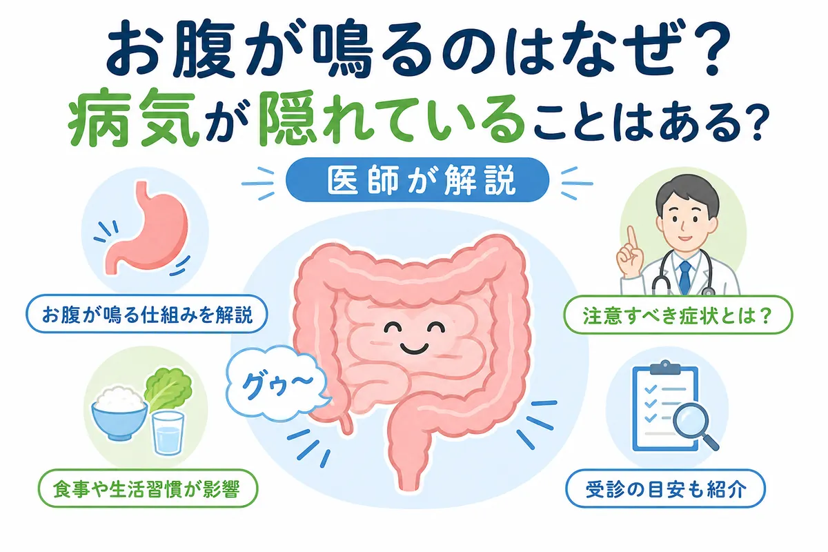 お腹が鳴る理由と仕組み｜食後・緊張時の原因と即効で止める裏ワザ