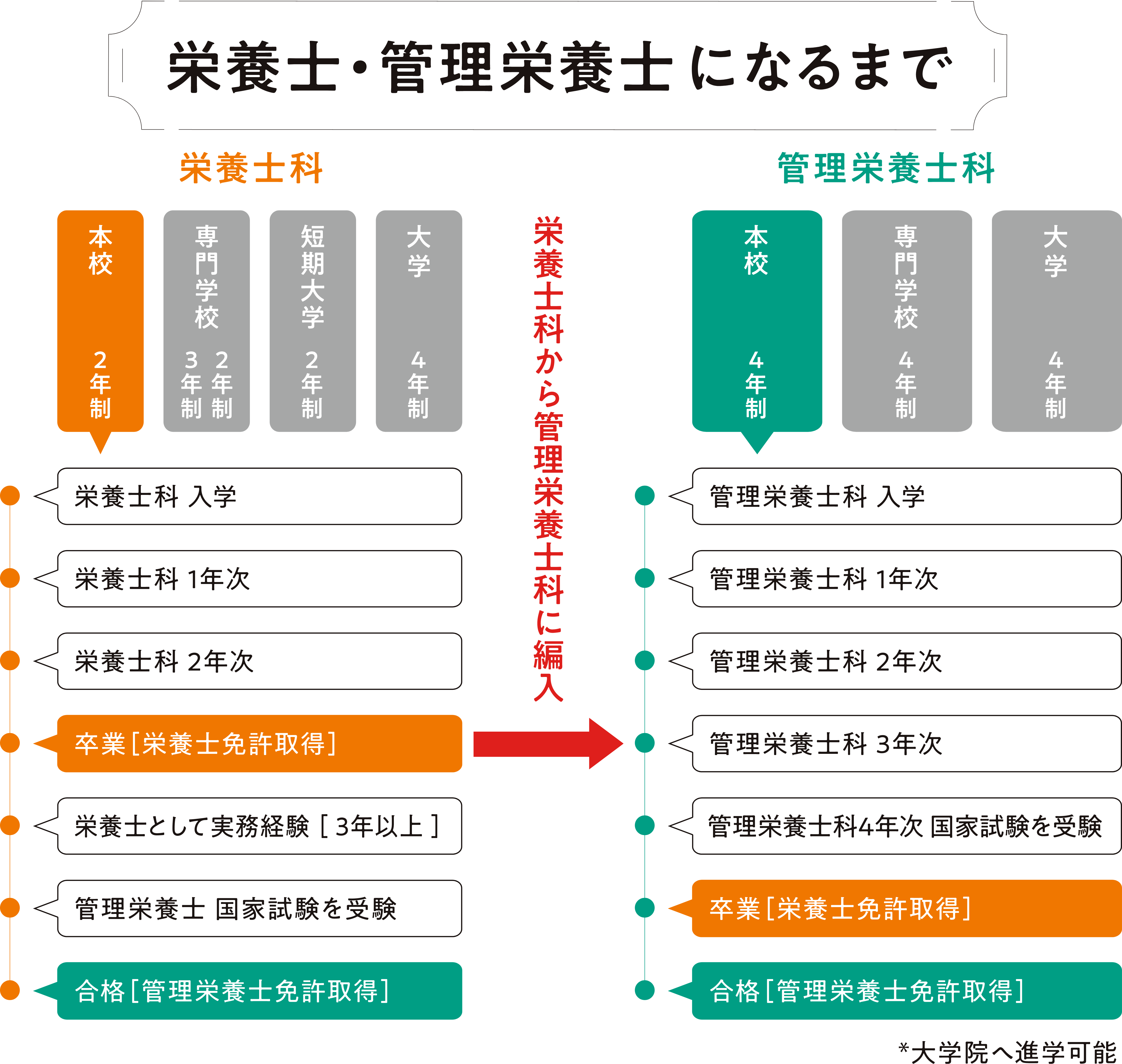 管理栄養士と栄養士の違いとは？年収格差と難易度の真相【2026最新】