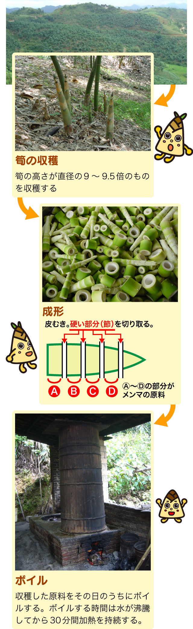 メンマの材料は何？実はタケノコと違う麻竹の正体と発酵の秘密