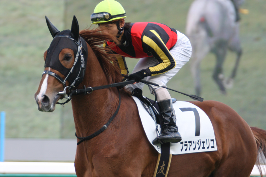 返し馬で見極める競走馬の真実！馬券勝率を激変させるプロの観察術