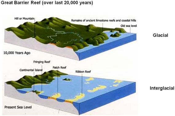 How Long Has the Great Barrier Reef Been Growing