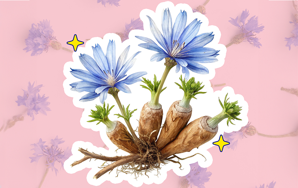 Chicory Root Fiber Gas