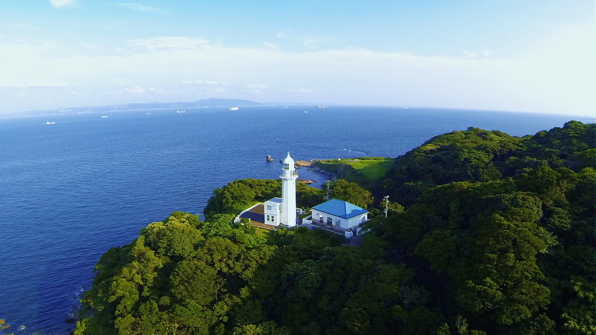 長崎西高校の進学実績が凄い理由とは？東大・医学部合格と理数科の真実