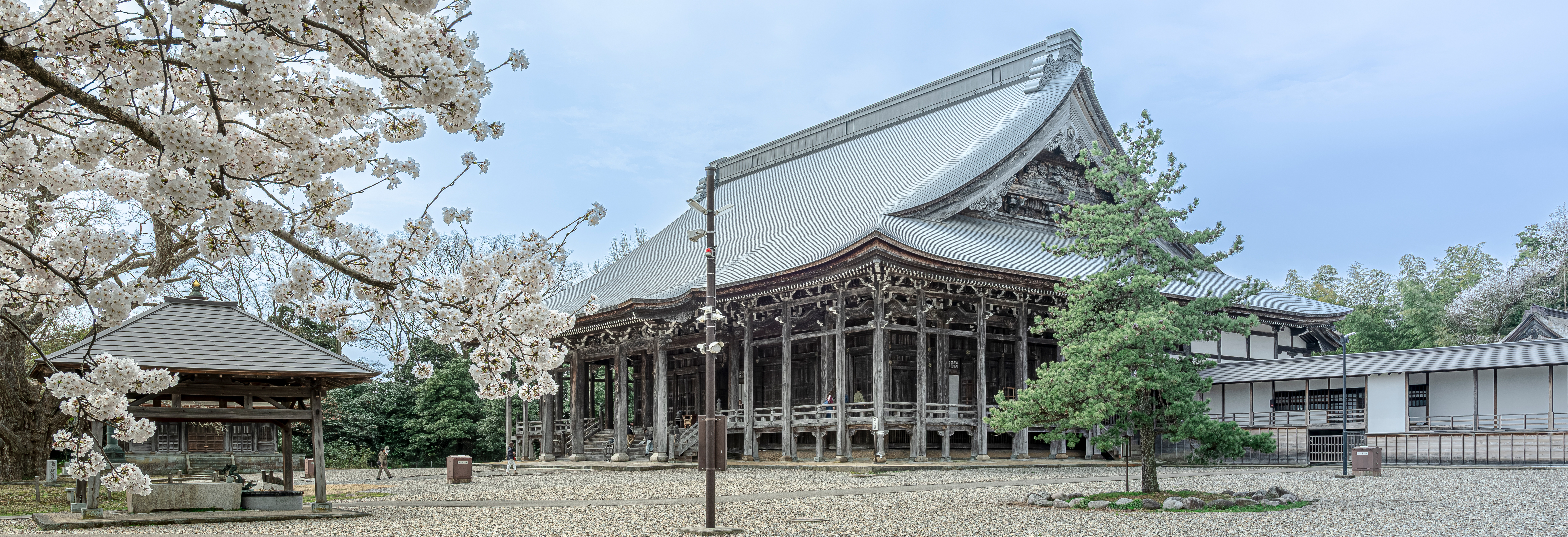 国宝勝興寺が今話題の理由とは？平成の大修理と七不思議の真相に迫る