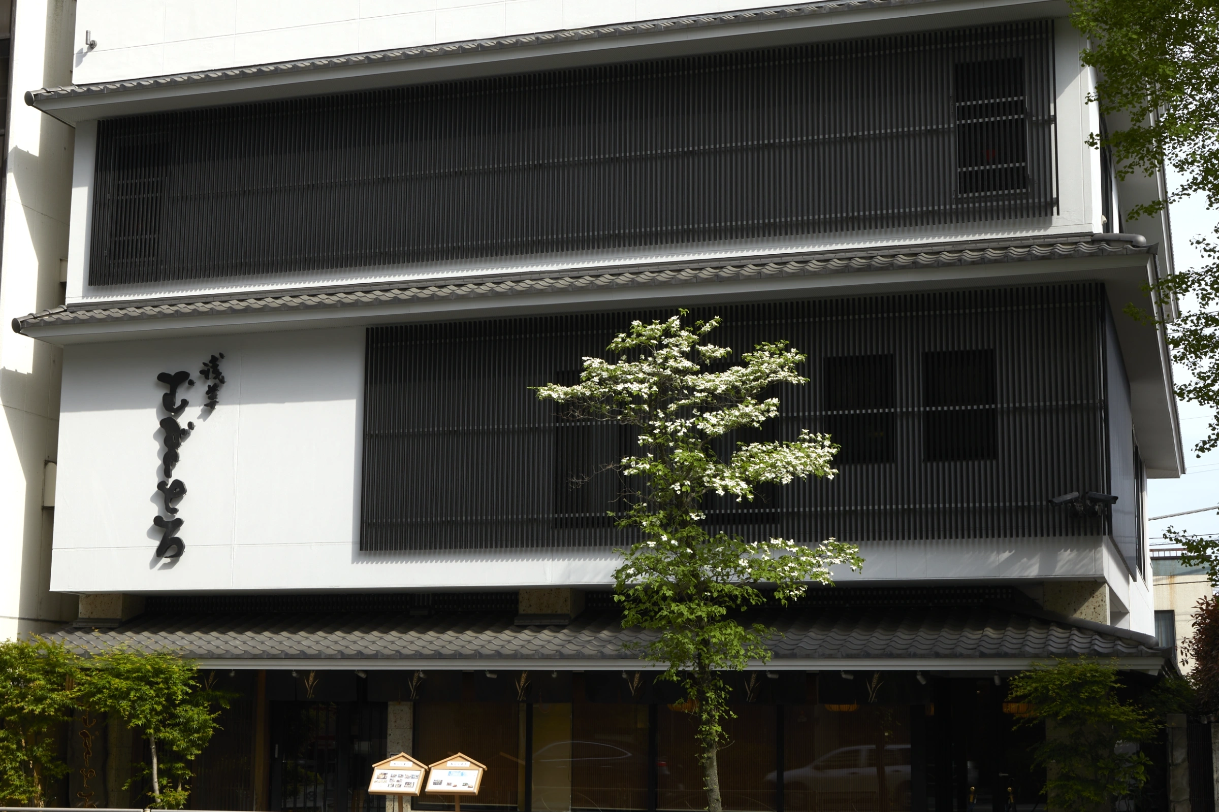 浅草むぎとろ本店完全攻略！名物バイキングの混雑回避と予約の真相