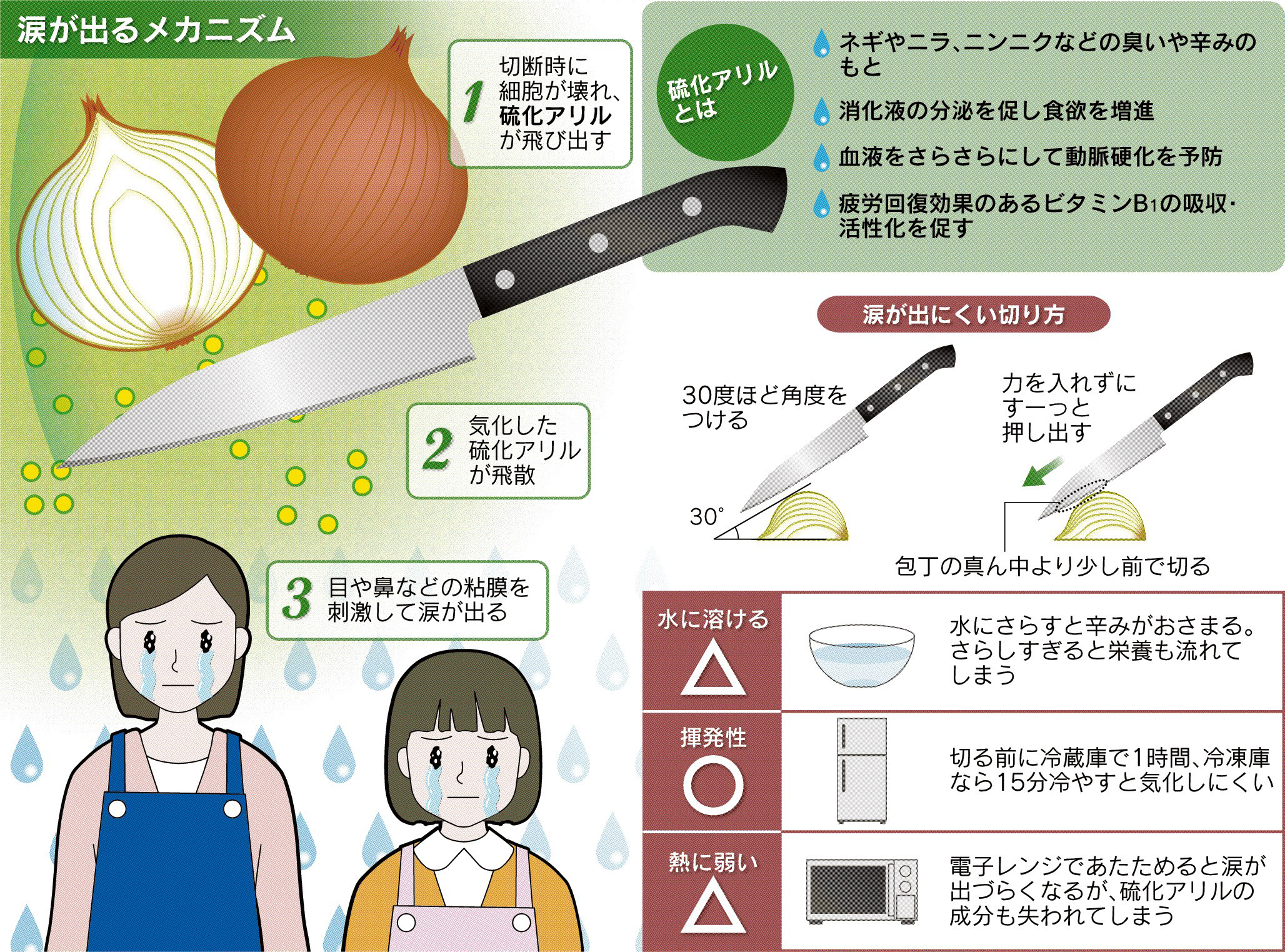 玉ねぎで涙が出ない方法完全攻略！科学が暴く裏ワザとプロの知恵