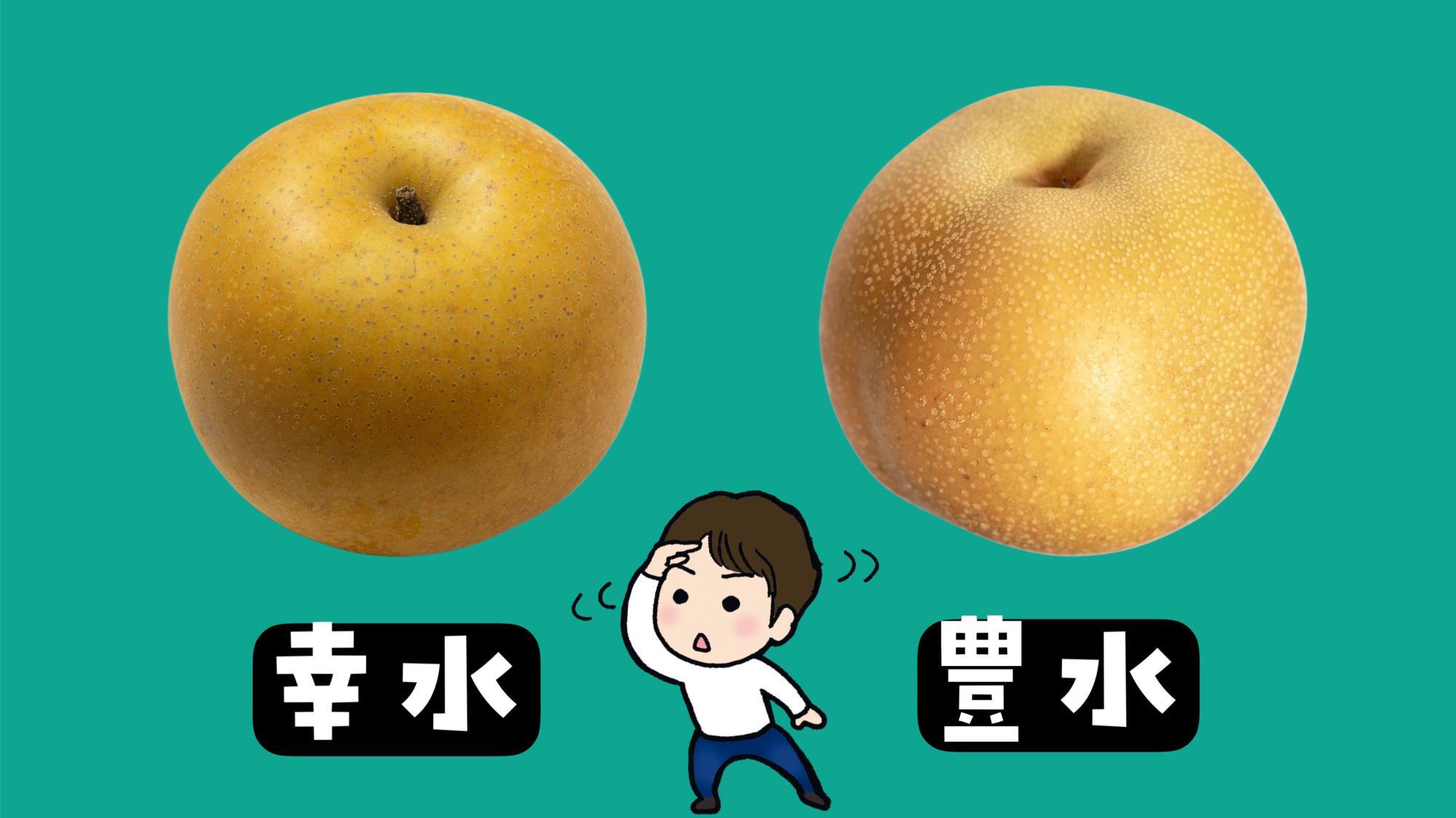 幸水と豊水の違いは？どっちが甘いか糖度と酸味の真相を徹底比較