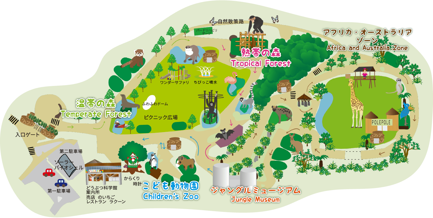 日本1位に輝いた高知のいち動物公園！隠された魅力と混雑回避の秘訣
