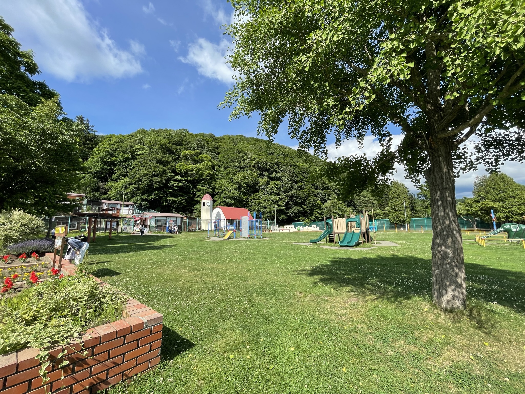 栗山公園の隠れた魅力と無料動物園！名将ゆかりの聖地を徹底取材