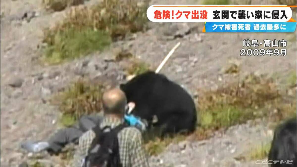 絶えぬクマ襲撃の真実とは？相次ぐ人里出現と命を守る緊急対策