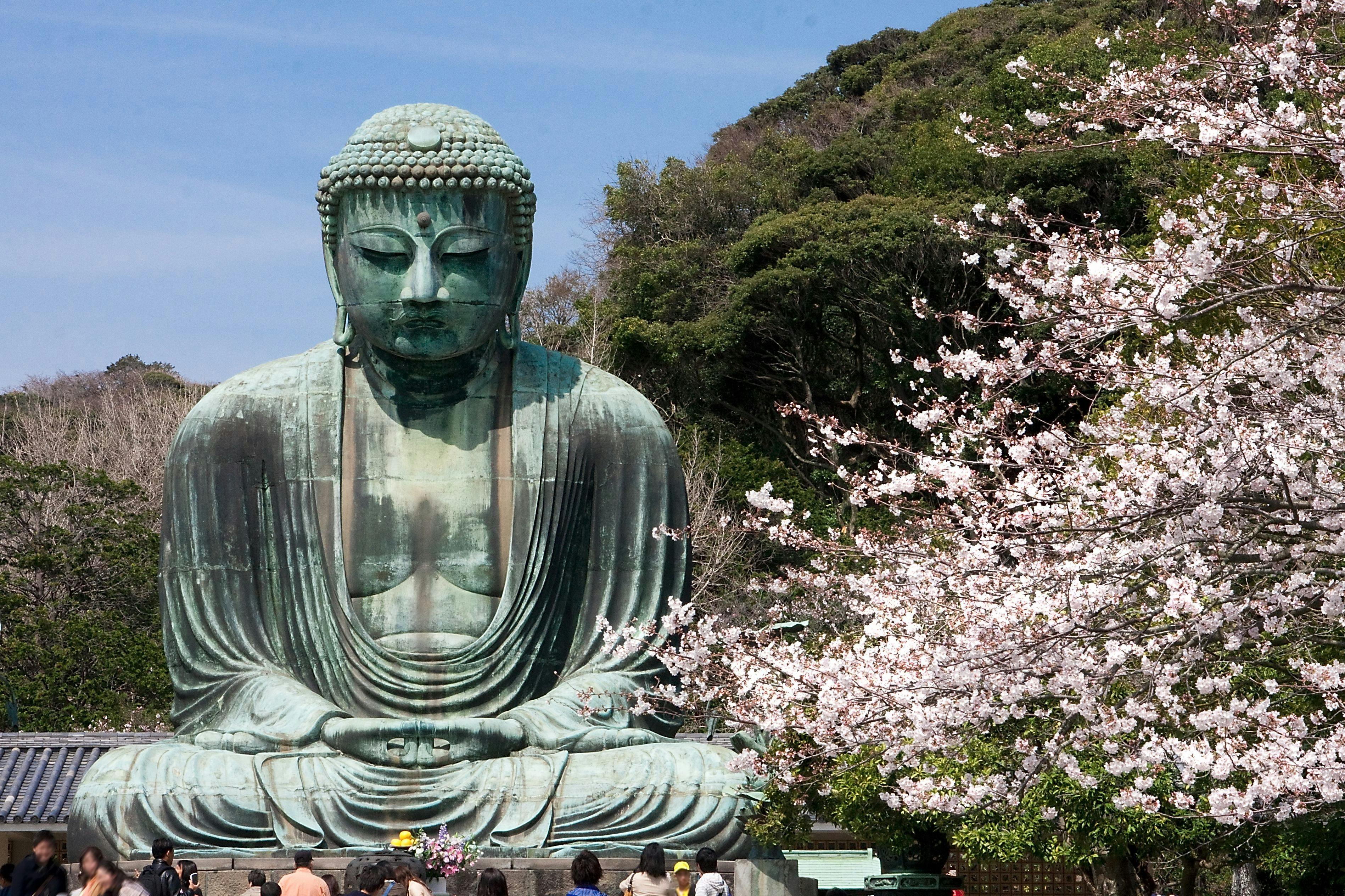 【2026年最新】「混雑」を避けて洗練された休日を。いま鎌倉で起きている“静寂の旅”革命