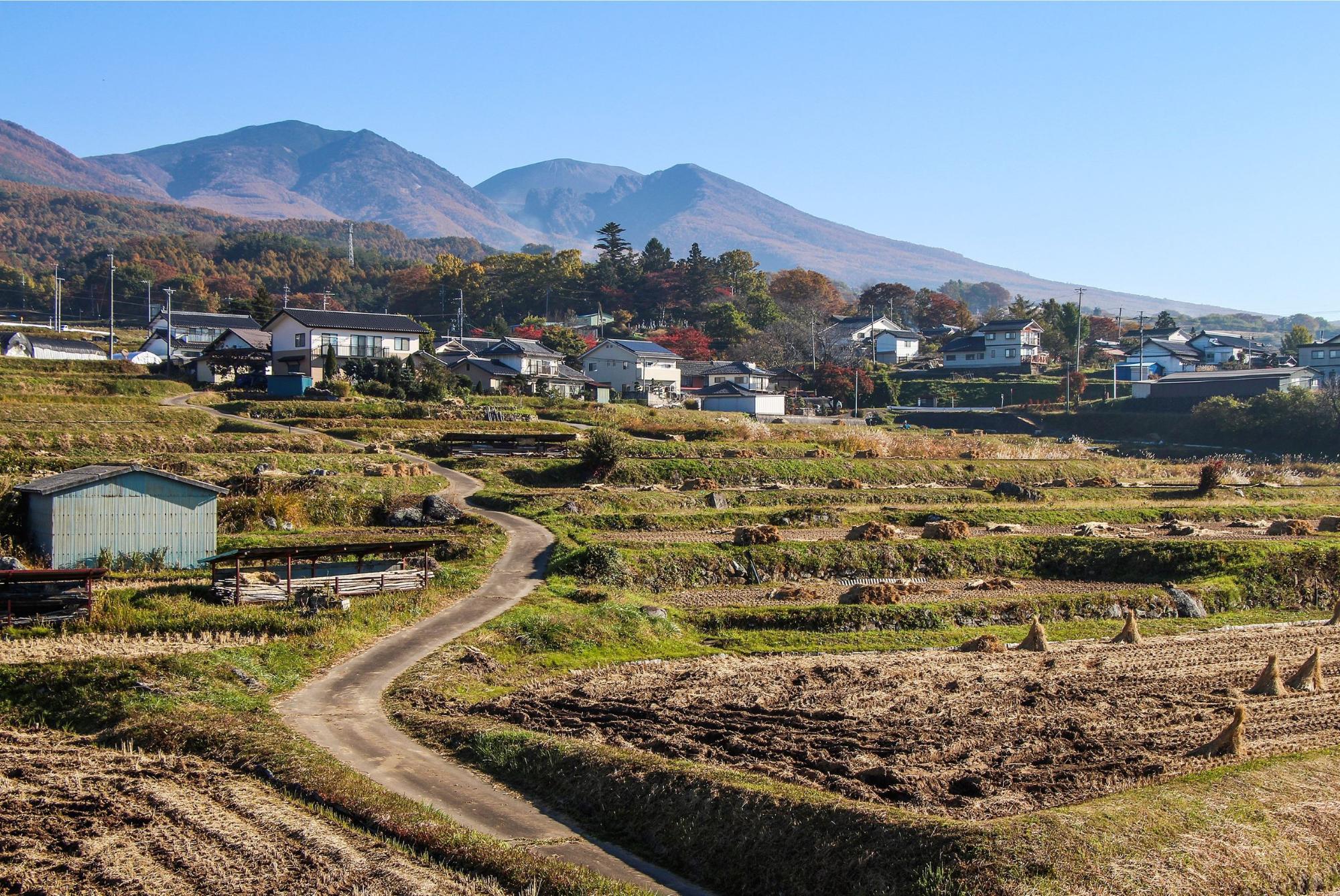 長野県小諸市の真実！移住急増の理由と住みやすさの落とし穴を徹底検証