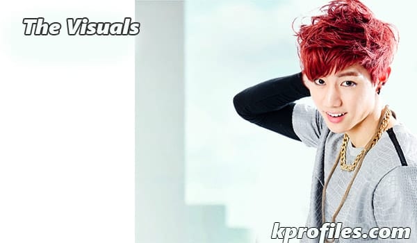 How to Be a Visual Kpop