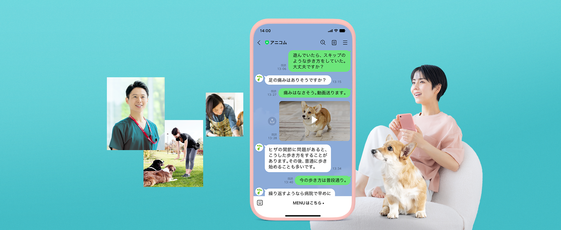 アニコム相談の評判を徹底取材！Line窓口と補償の落とし穴