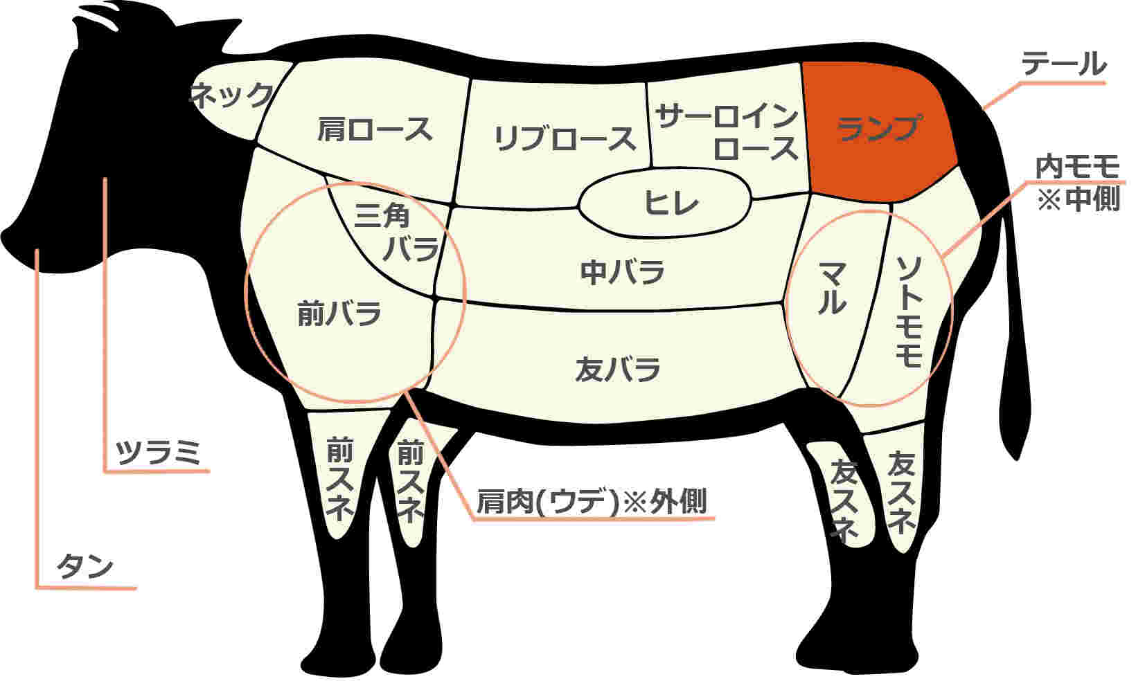 ウイスキーの原料を徹底解剖！モルトや穀物の違いが生む風味の全真相