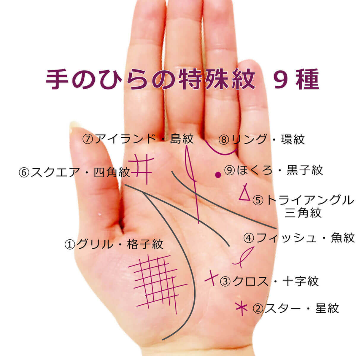 手相の右手と左手どっち見る？意味の違いと左右差の真相【2026年最新】