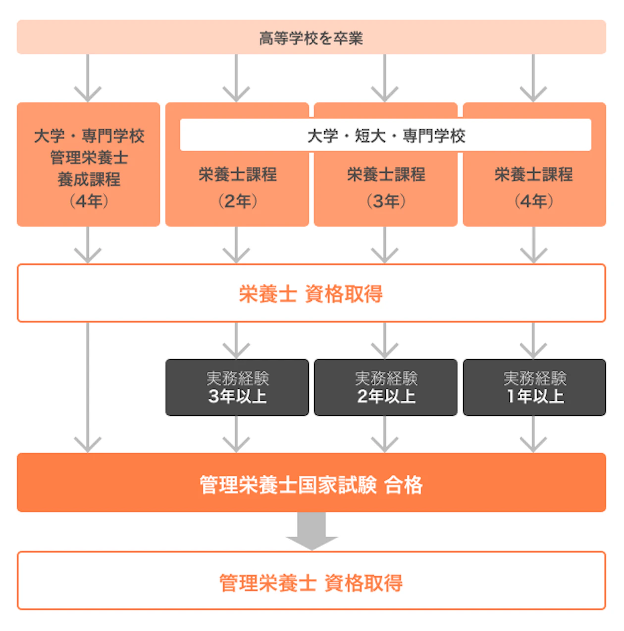 【2026最新】管理栄養士国家試験の日程と出願締切・合格発表まとめ