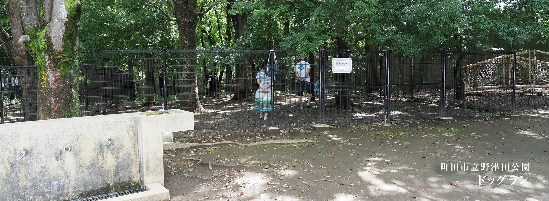 野津田公園ドッグラン激変！利用規則改定と混雑回避の裏技全公開