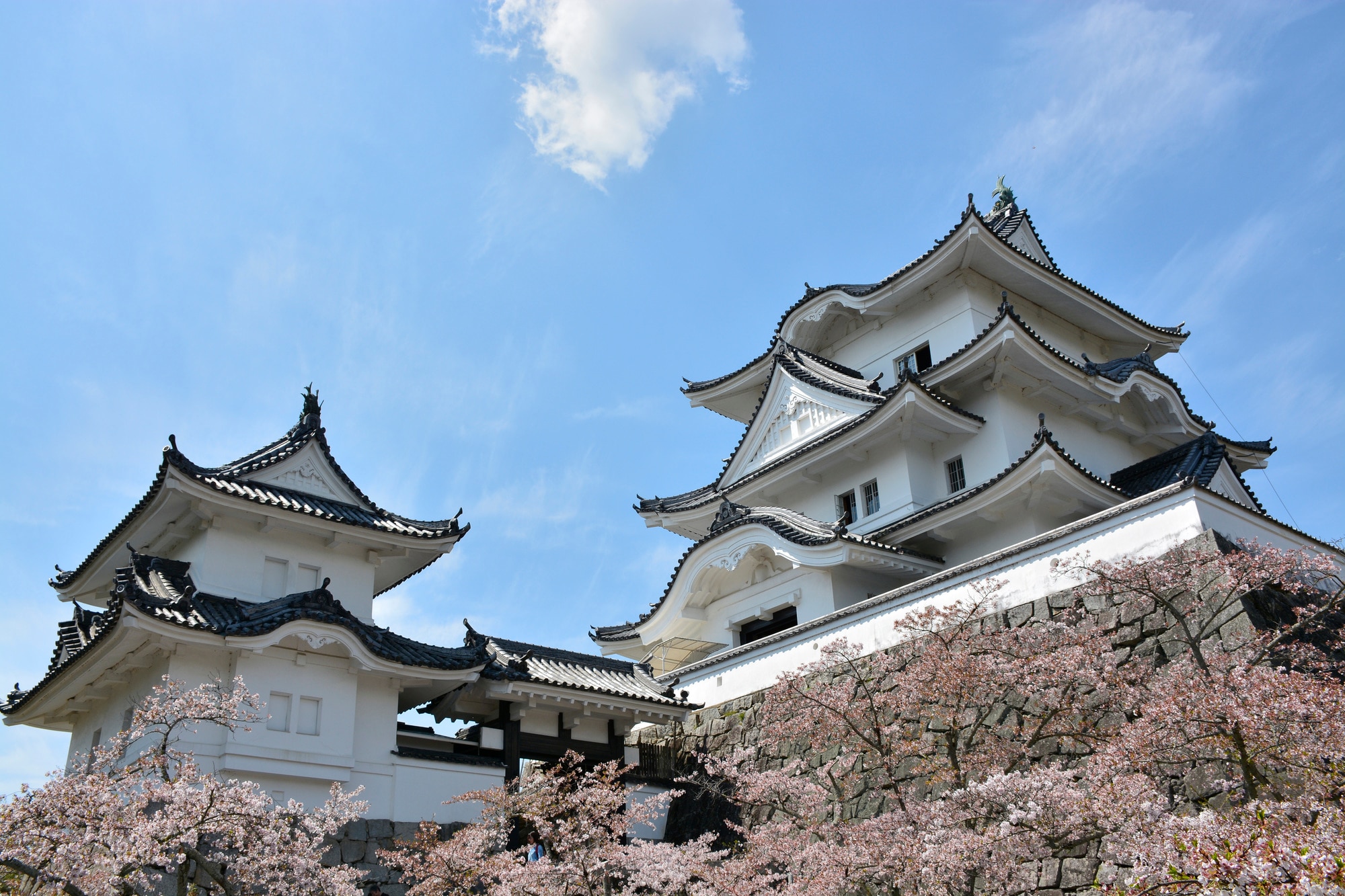 【2026年最新ルポ】伝統とハイテクが交差する街——三重・伊賀市が巻き起こす「グローバル地方創生」の歴史的転換点