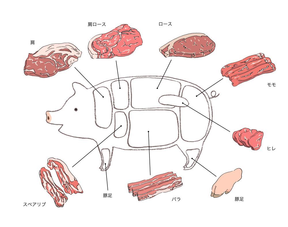 豚肉の部位決定版！一番柔らかい肉の正体と失敗ゼロの選び方比較