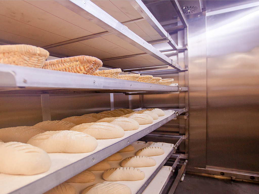 Oven for Proofing Bread