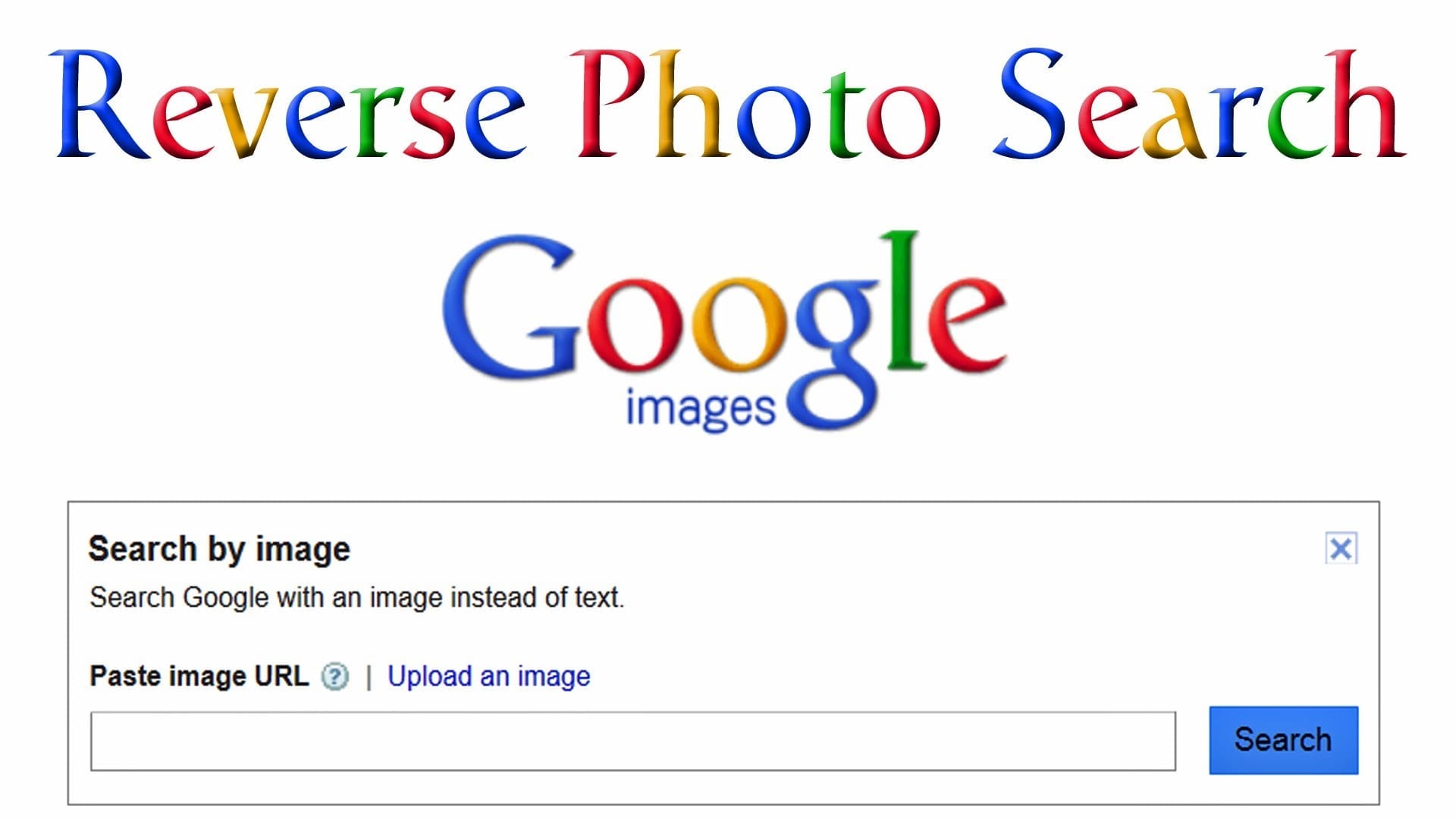 Reverse Google Image Search
