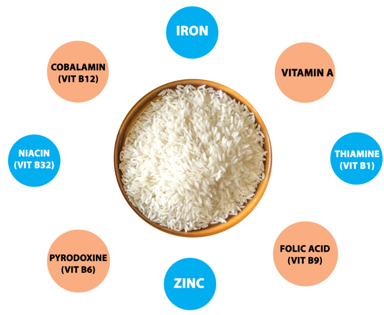 Does White Rice Have Folic Acid