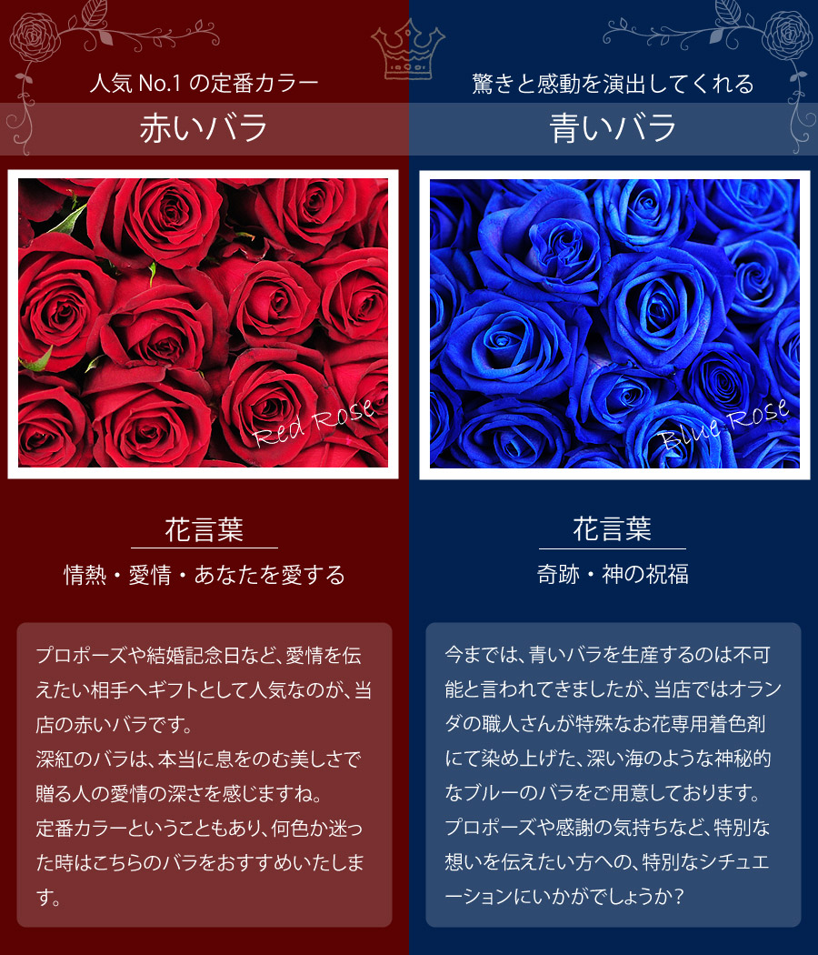 青いバラの意味はなぜ奇跡へ？本数別花言葉とギフトの全真相