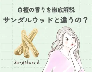 【経歴】 白檀 の 香り が する 人 Tiktok話題の動画 #969