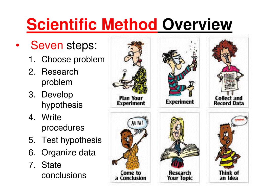 List the 7 Steps of the Scientific Method in Order