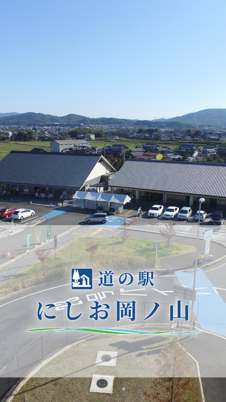 道の駅にしお岡ノ山が大盛況の真相｜西尾抹茶と混雑攻略【2026】