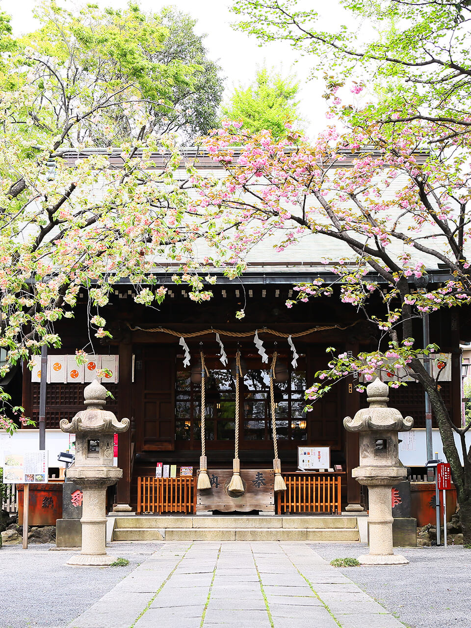 渋沢栄一が愛した北区西ケ原・七社神社！限定御朱印と人気の真相