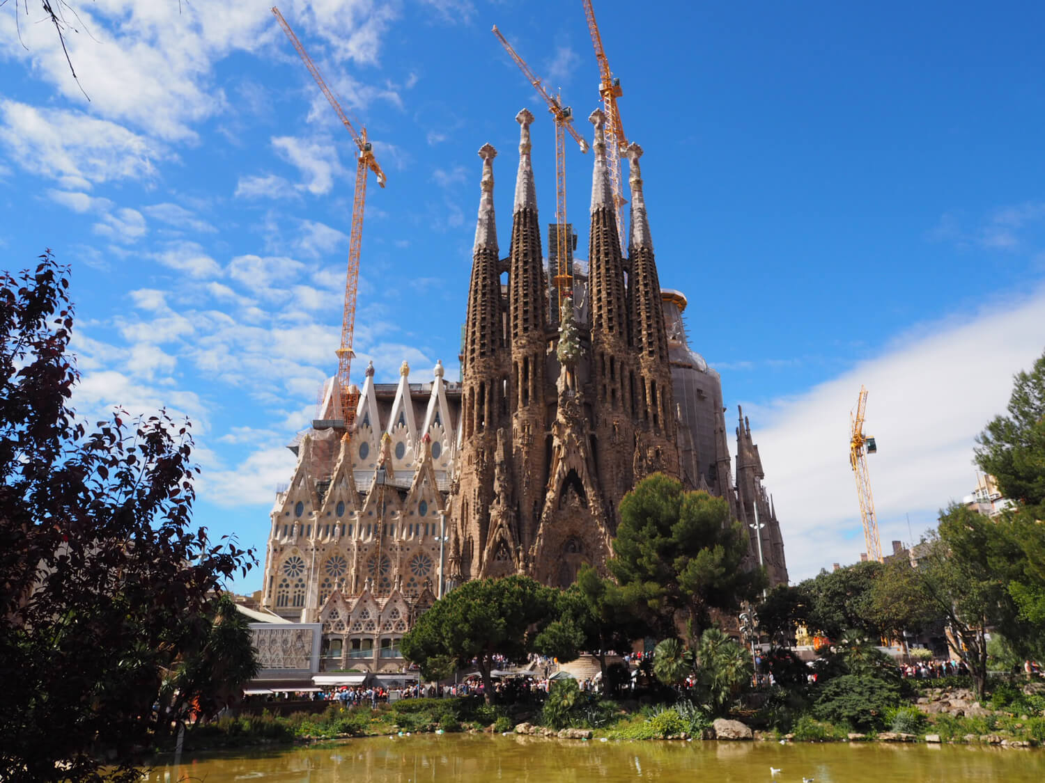 スペインと日本のハーフが解き放つ魅力！多様性が開くエンタメ新時代